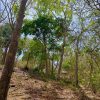 Small ocean view lot at Playa Maderas