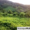 Off Grid Tranquil Paradise Only 20 Minutes North of San Juan del Sur