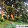 Off Grid Tranquil Paradise Only 20 Minutes North of San Juan del Sur