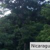 Off Grid Tranquil Paradise Only 20 Minutes North of San Juan del Sur