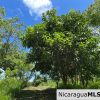 Casita Plus Land in El Oro San Juan Del Sur Nicaragua