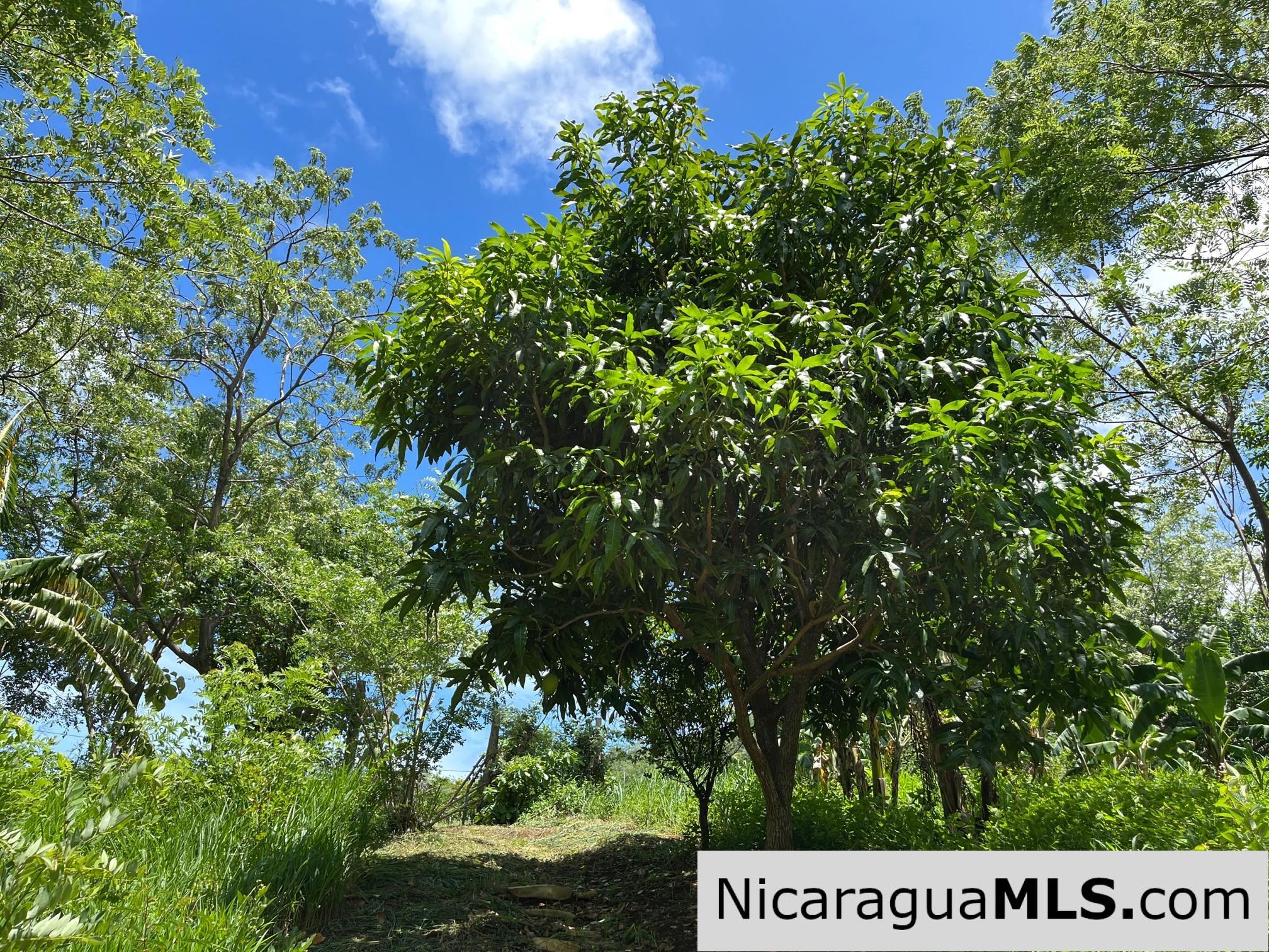 Casita Plus Land in El Oro San Juan Del Sur Nicaragua