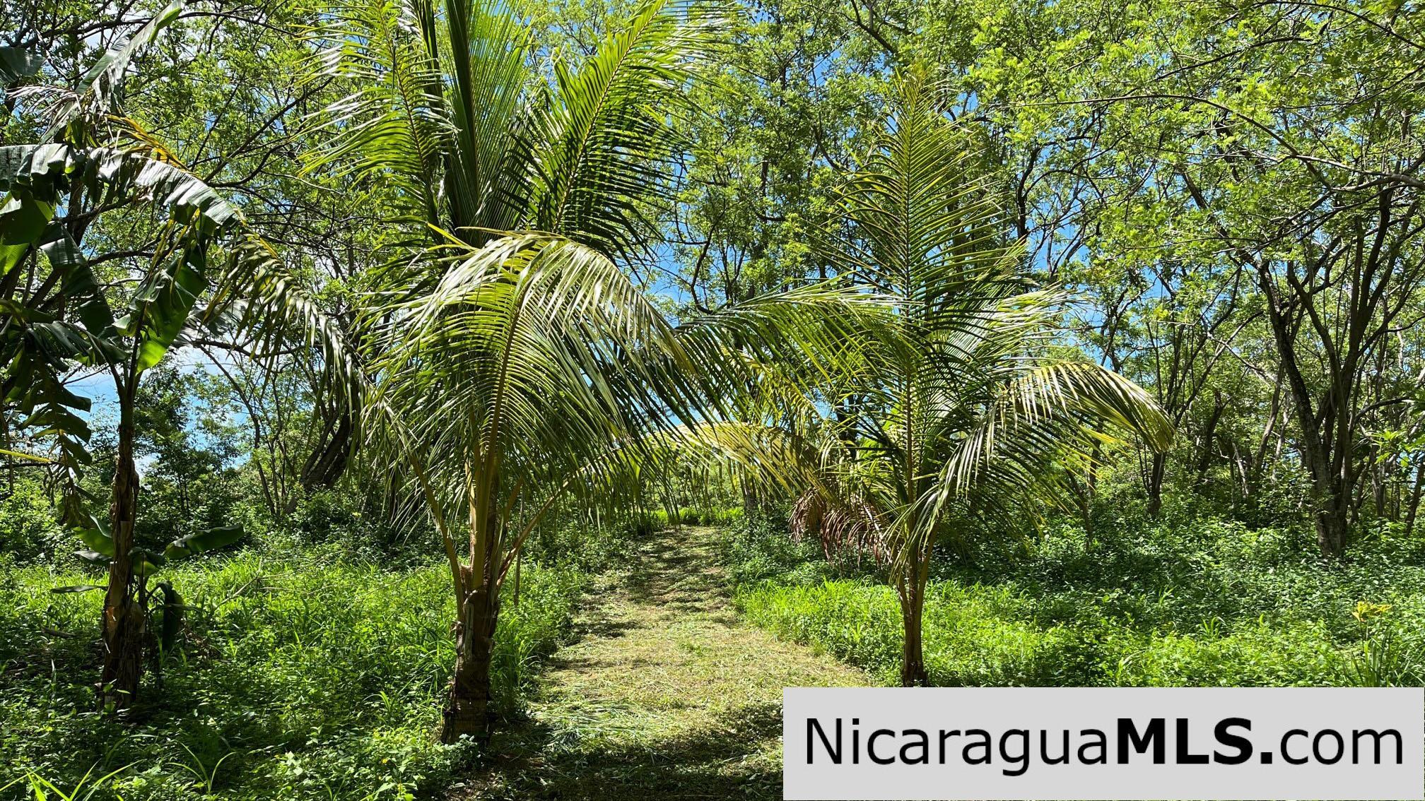 Casita Plus Land in El Oro San Juan Del Sur Nicaragua