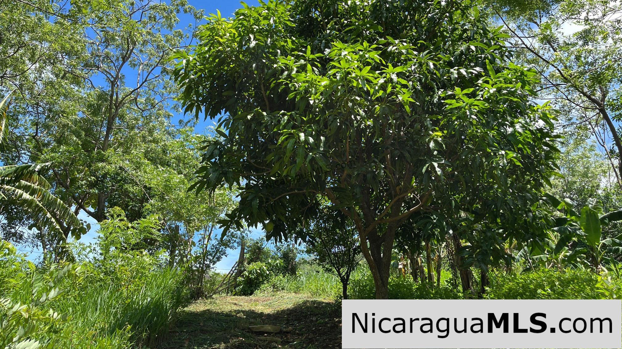 Casita Plus Land in El Oro San Juan Del Sur Nicaragua