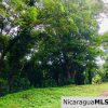 Las Fincas Lot 24 1.24 Acres With Commercial or Residential Potential