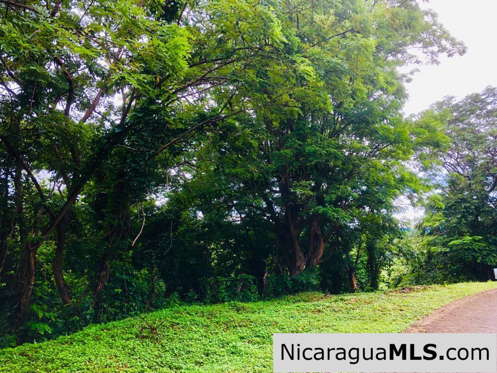 Las Fincas Lot 24 1.24 Acres With Commercial or Residential Potential