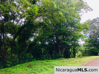 Las Fincas Lot 24 1.24 Acres With Commercial or Residential Potential