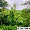 Las Fincas Lot 24 1.24 Acres With Commercial or Residential Potential