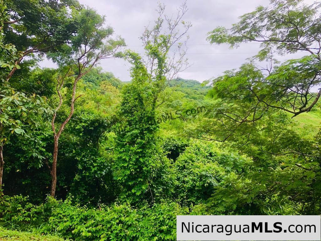 Las Fincas Lot 24 1.24 Acres With Commercial or Residential Potential