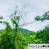 Las Fincas Lot 24 1.24 Acres With Commercial or Residential Potential