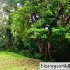 Las Fincas Lot 24 1.24 Acres With Commercial or Residential Potential