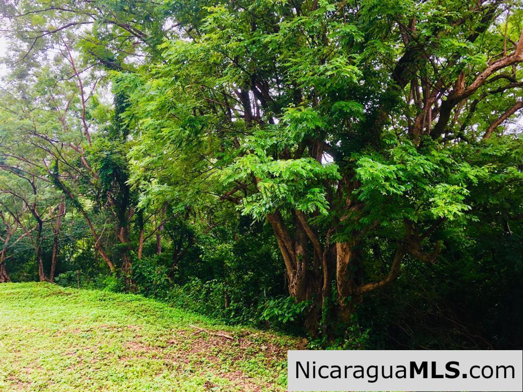 Las Fincas Lot 24 1.24 Acres With Commercial or Residential Potential