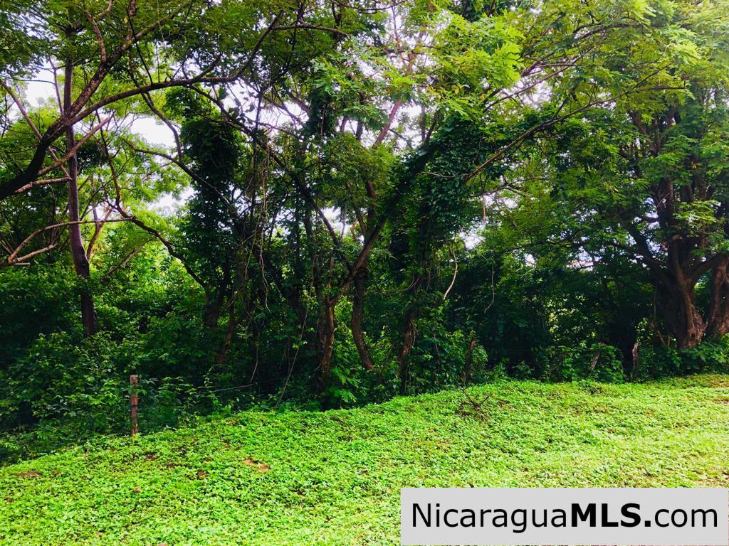 Las Fincas Lot 24 1.24 Acres With Commercial or Residential Potential