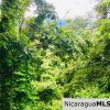 Las Fincas Lot 24 1.24 Acres With Commercial or Residential Potential