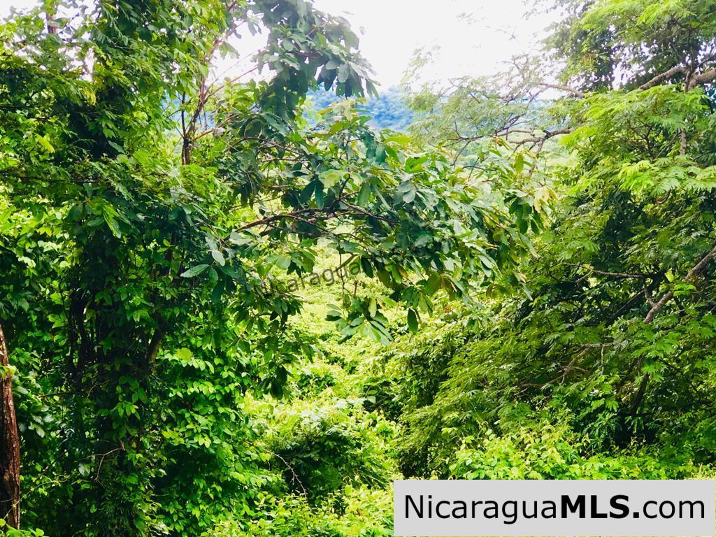 Las Fincas Lot 24 1.24 Acres With Commercial or Residential Potential