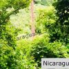 Las Fincas Lot 24 1.24 Acres With Commercial or Residential Potential