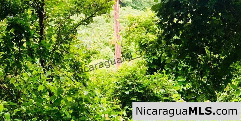 Las Fincas Lot 24 1.24 Acres With Commercial or Residential Potential