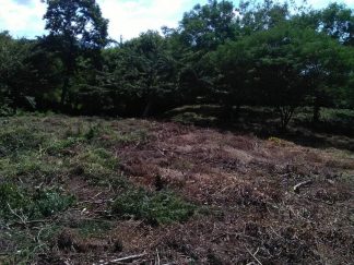 Ocean View Lot 46 for sale in Lomas de Palermo Overlooking SJDS