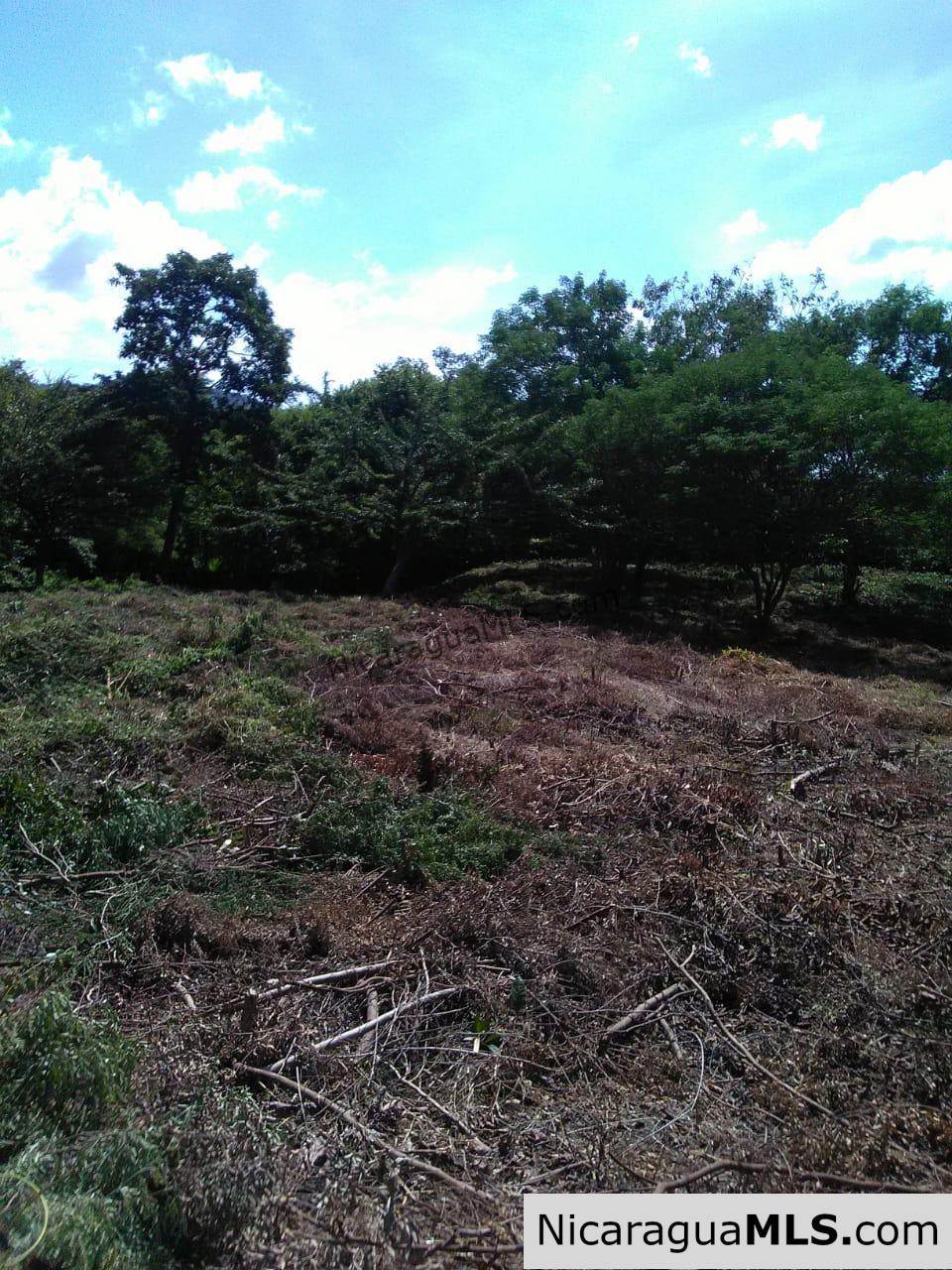 Ocean View Lot 46 for sale in Lomas de Palermo Overlooking SJDS