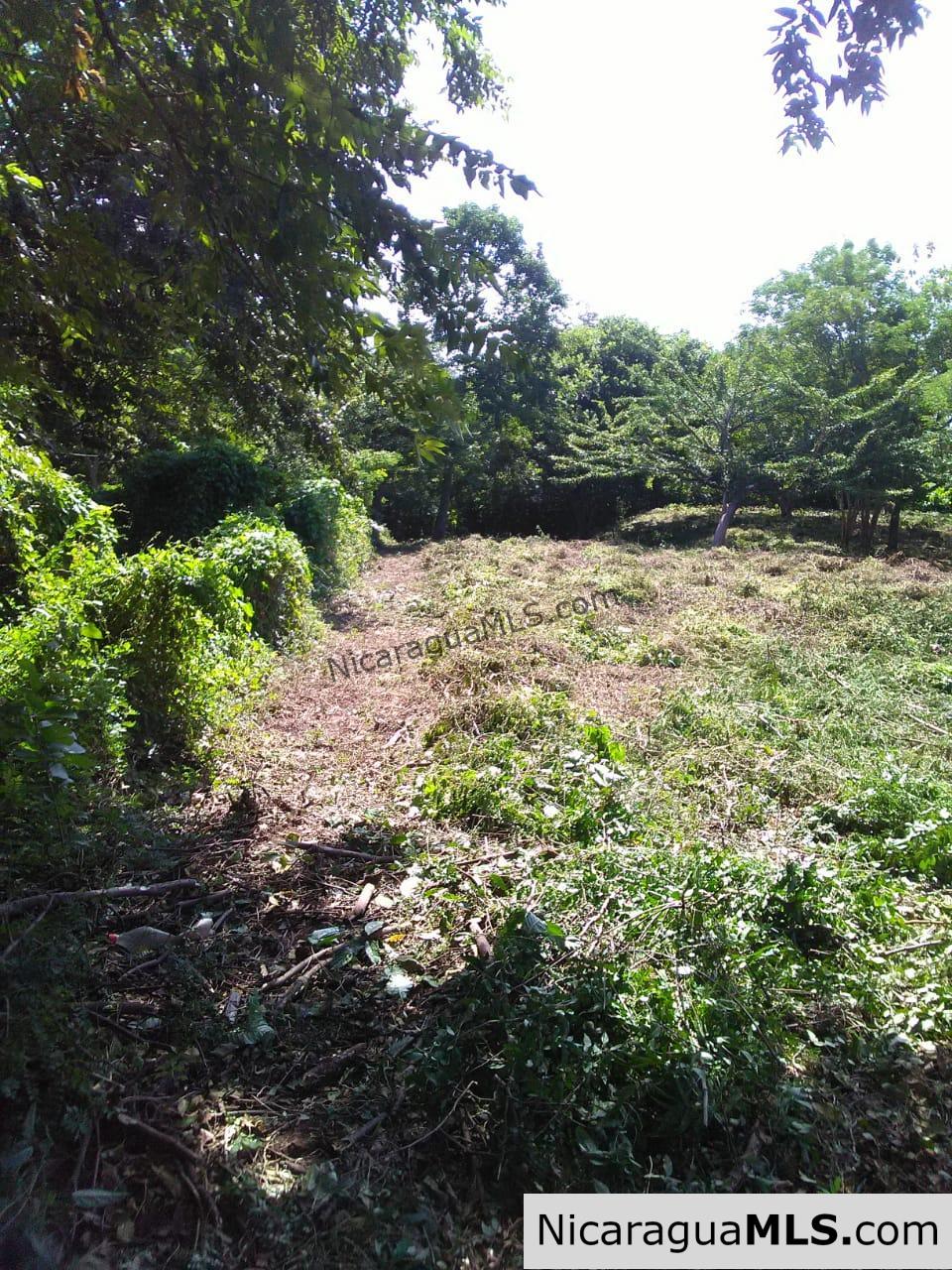 Ocean View Lot 46 for sale in Lomas de Palermo Overlooking SJDS