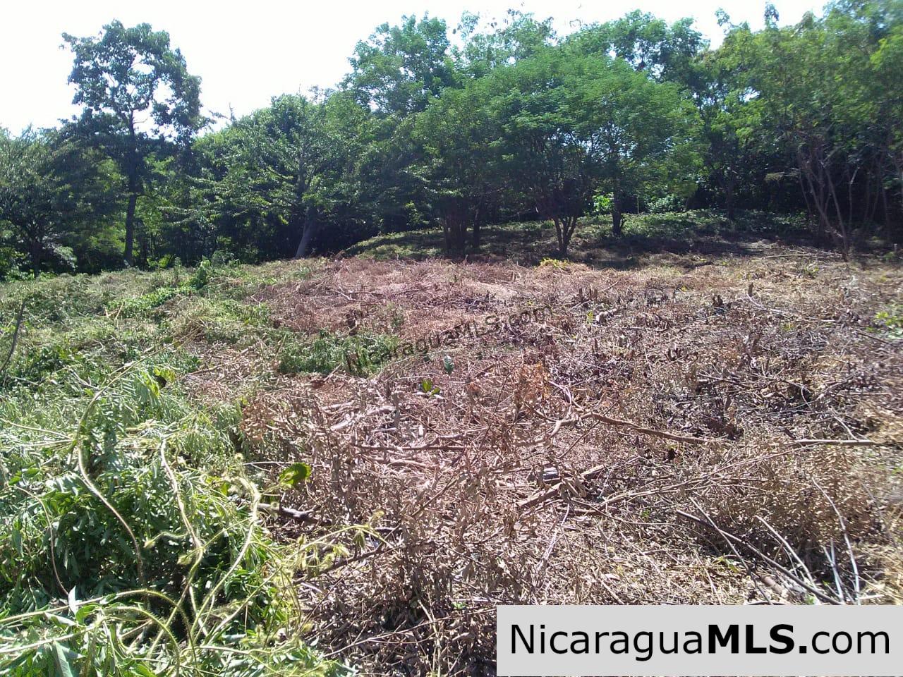 Ocean View Lot 46 for sale in Lomas de Palermo Overlooking SJDS