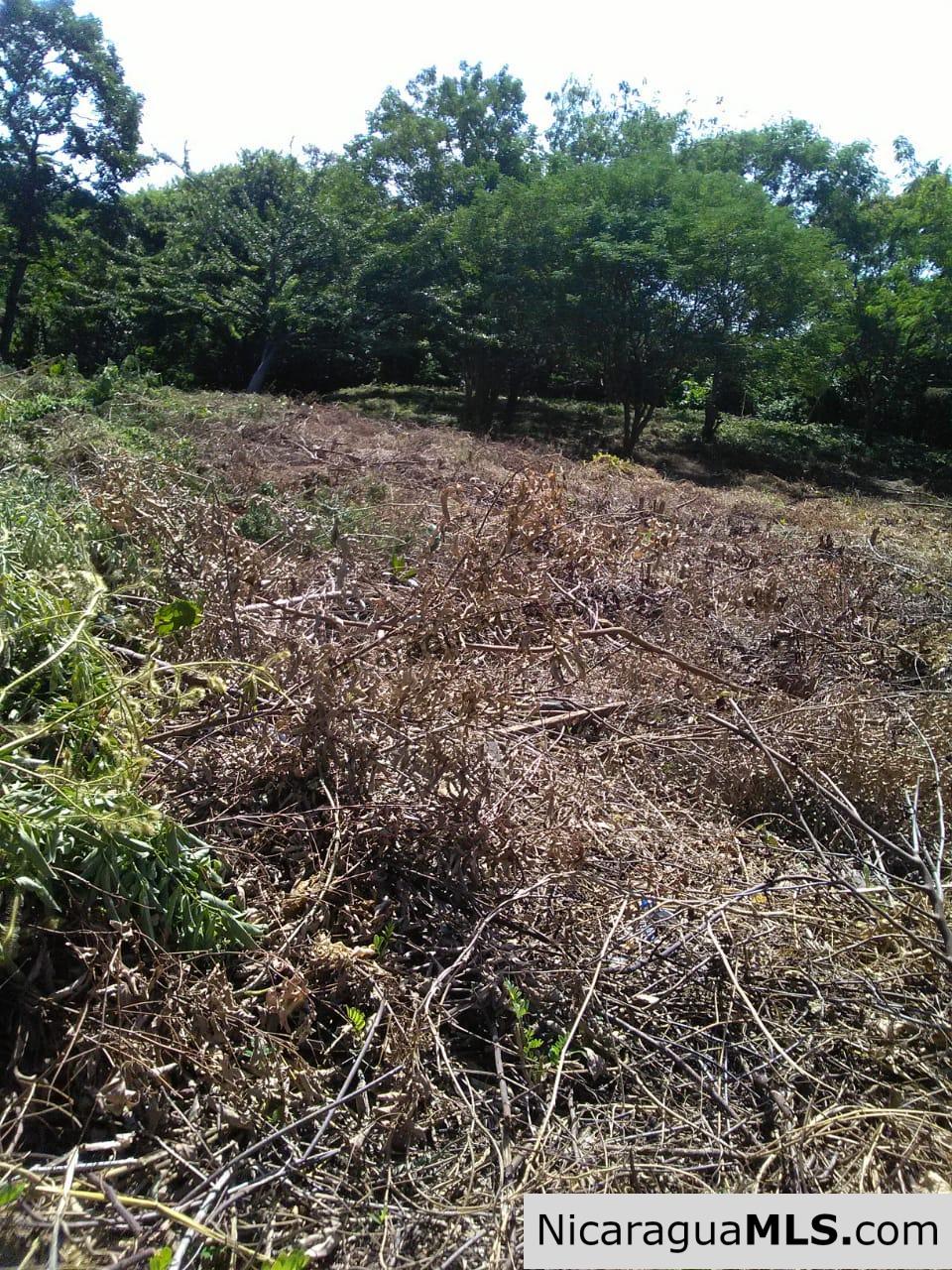 Ocean View Lot 46 for sale in Lomas de Palermo Overlooking SJDS