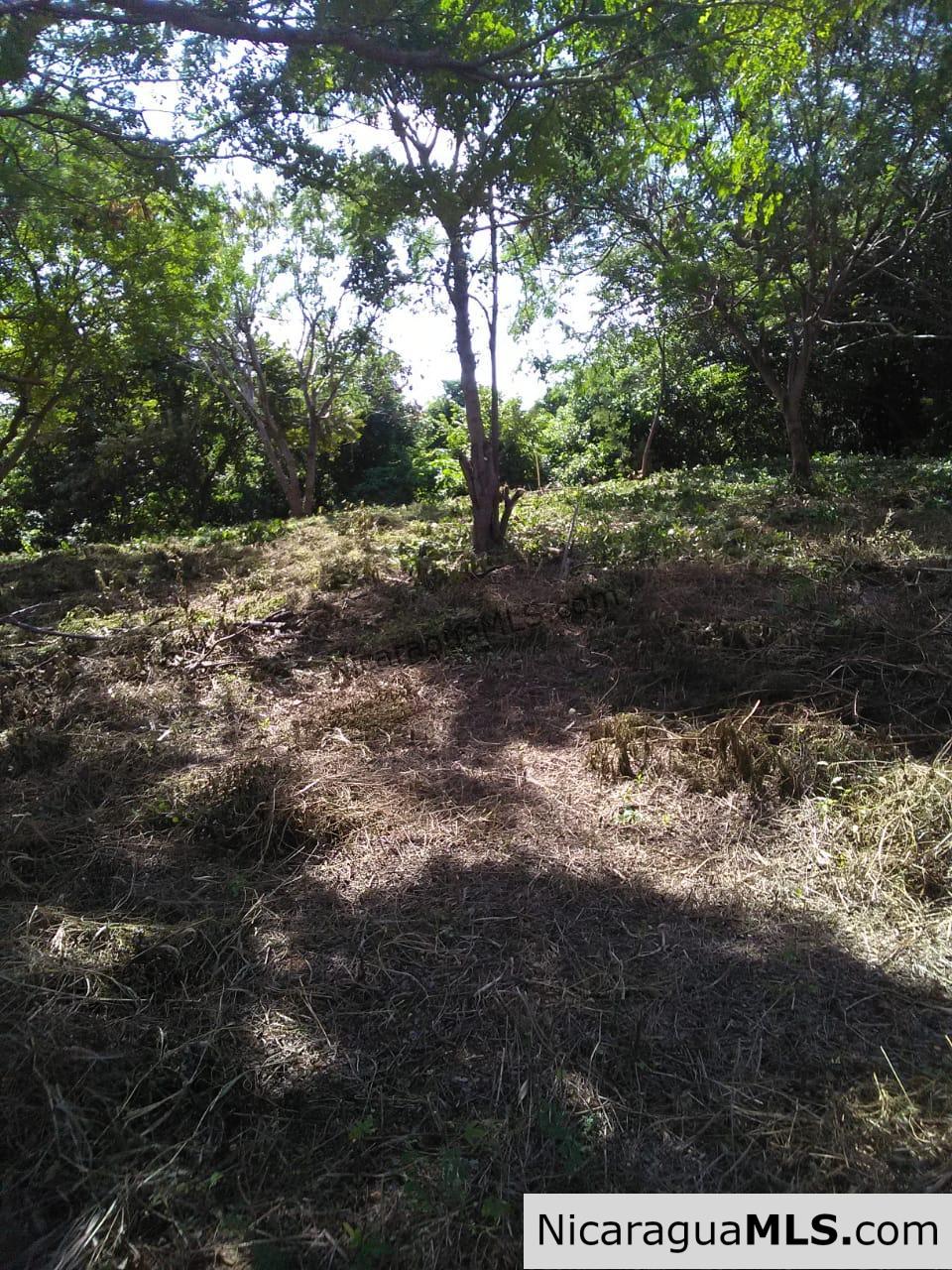 Ocean View Lot 46 for sale in Lomas de Palermo Overlooking SJDS