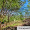 Lomas de San Juan Privileged Neighborhood and View Lot
