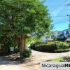 Lomas de San Juan Privileged Neighborhood and View Lot