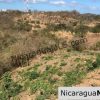 Ecodesarrollo Miramar Lot B12