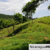 Lot 15 in El Encanto del Sur