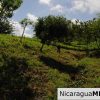 Lot 15 in El Encanto del Sur