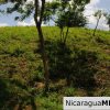 Lot 15 in El Encanto del Sur
