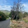 Lot 39 in Lomas de San Juan