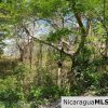 Lot 39 in Lomas de San Juan