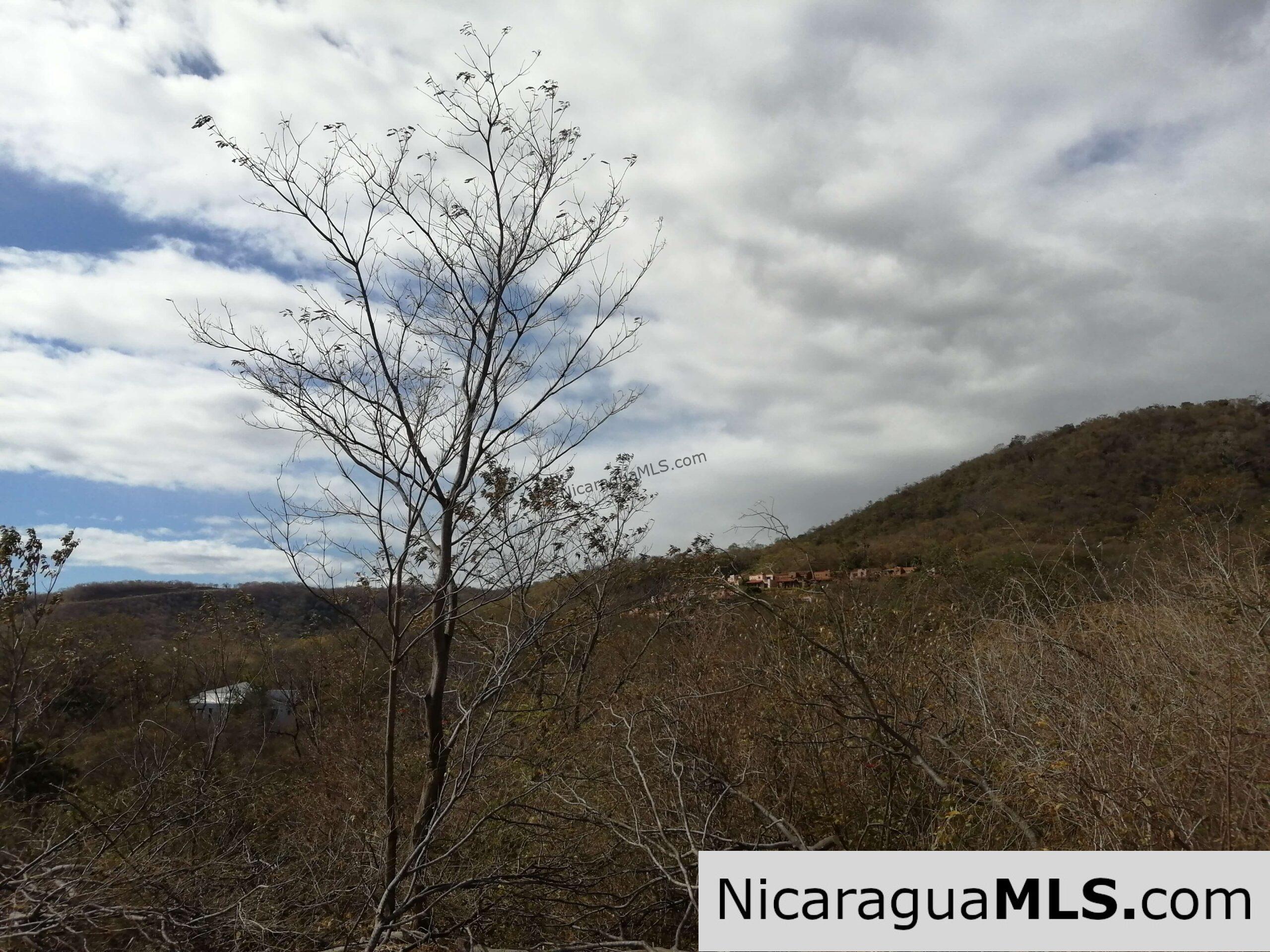 Lot #6 Lomas in Lomas de Palermo