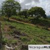 Ocean view lot in Lomas de San Juan