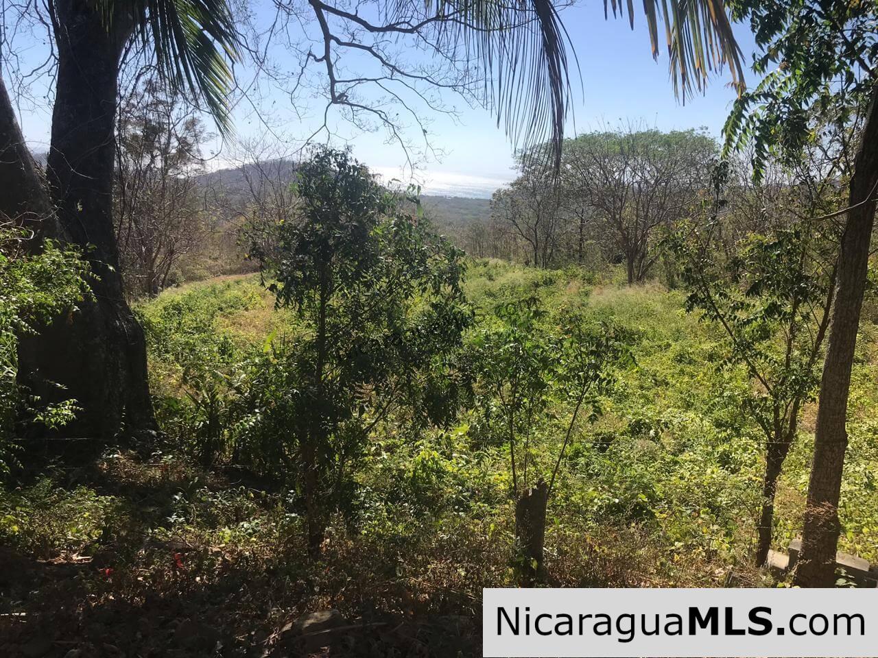 3 Lots for sale in Rancho El Papayal, San Juan del Sur. Panoramic views