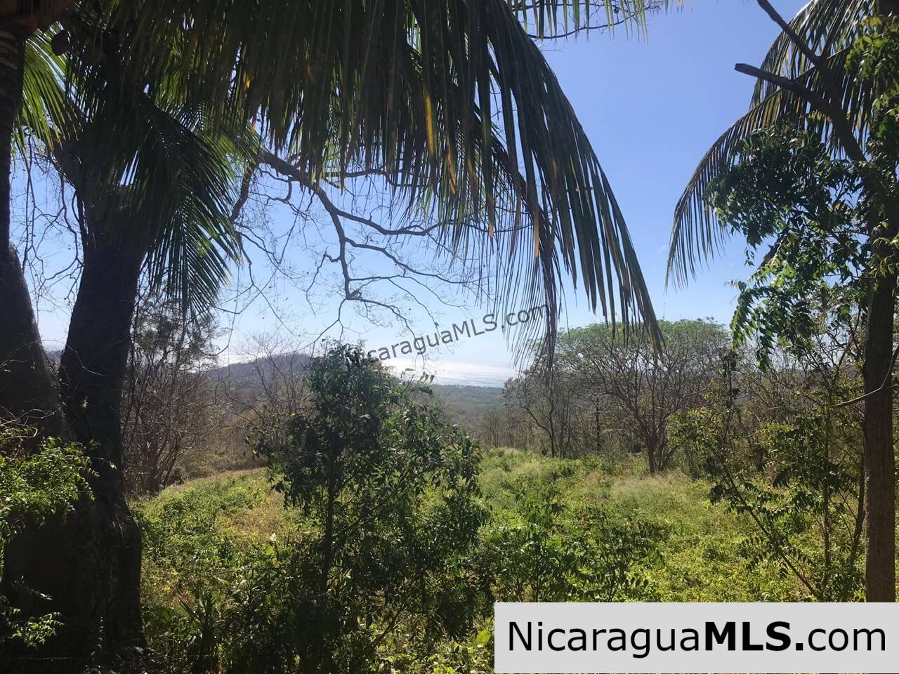 3 Lots for sale in Rancho El Papayal, San Juan del Sur. Panoramic views