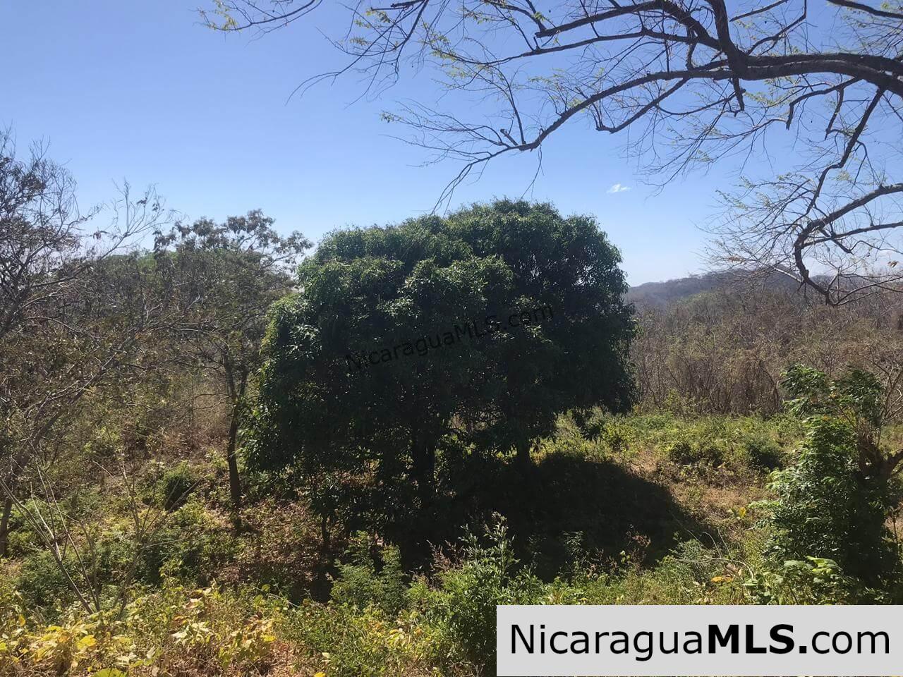 3 Lots for sale in Rancho El Papayal, San Juan del Sur. Panoramic views