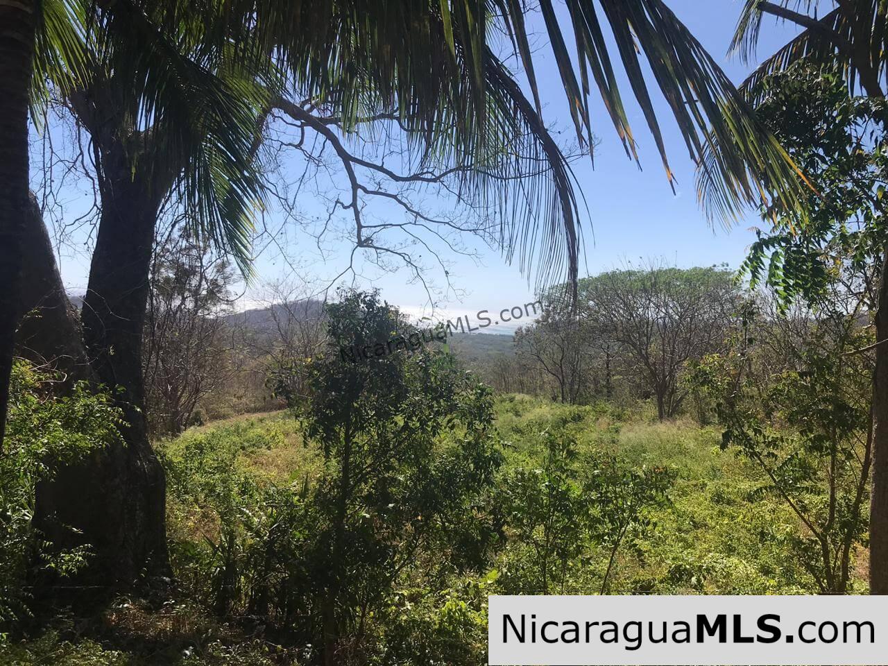 3 Lots for sale in Rancho El Papayal, San Juan del Sur. Panoramic views