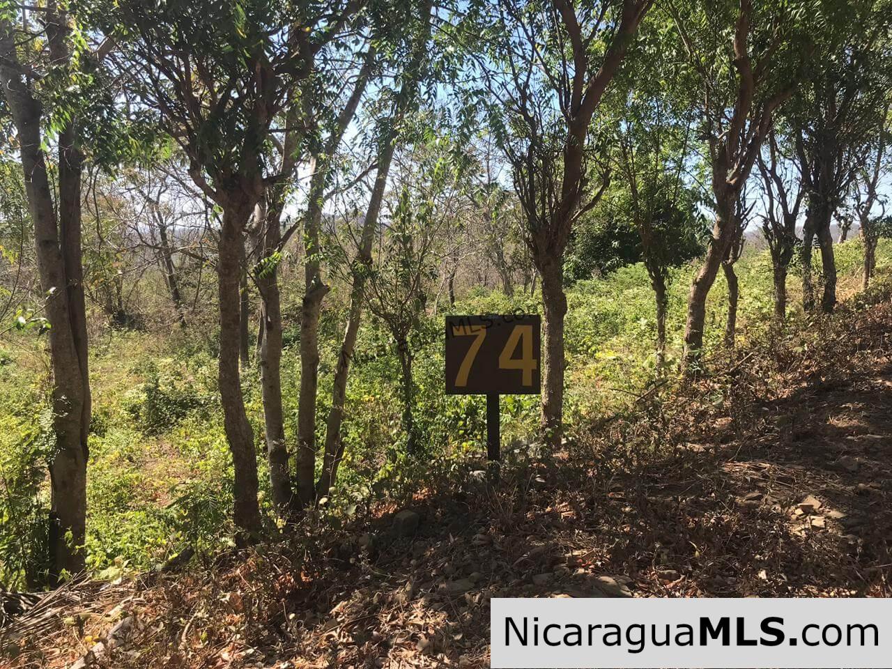 3 Lots for sale in Rancho El Papayal, San Juan del Sur. Panoramic views
