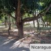Two lots as one in Colinas del Miramar Development, San Juan del Sur
