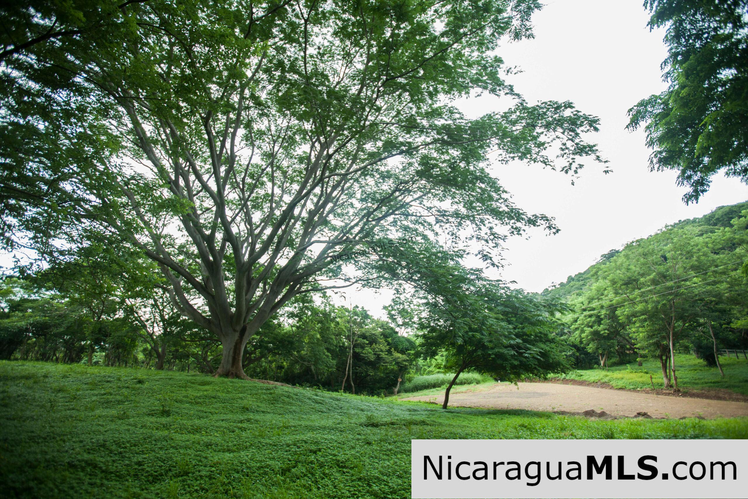 Discounted Lots near Playa Hermosa.