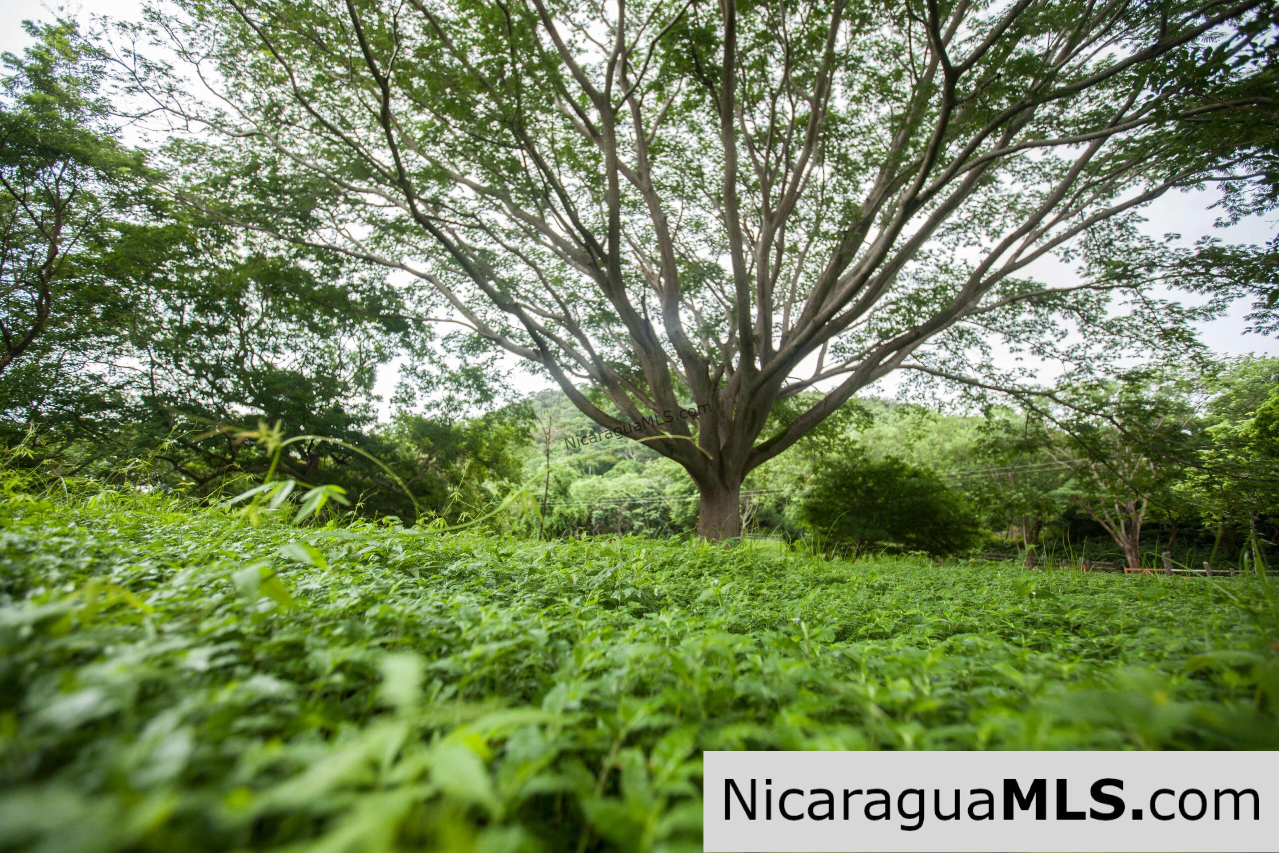 Discounted Lots near Playa Hermosa.
