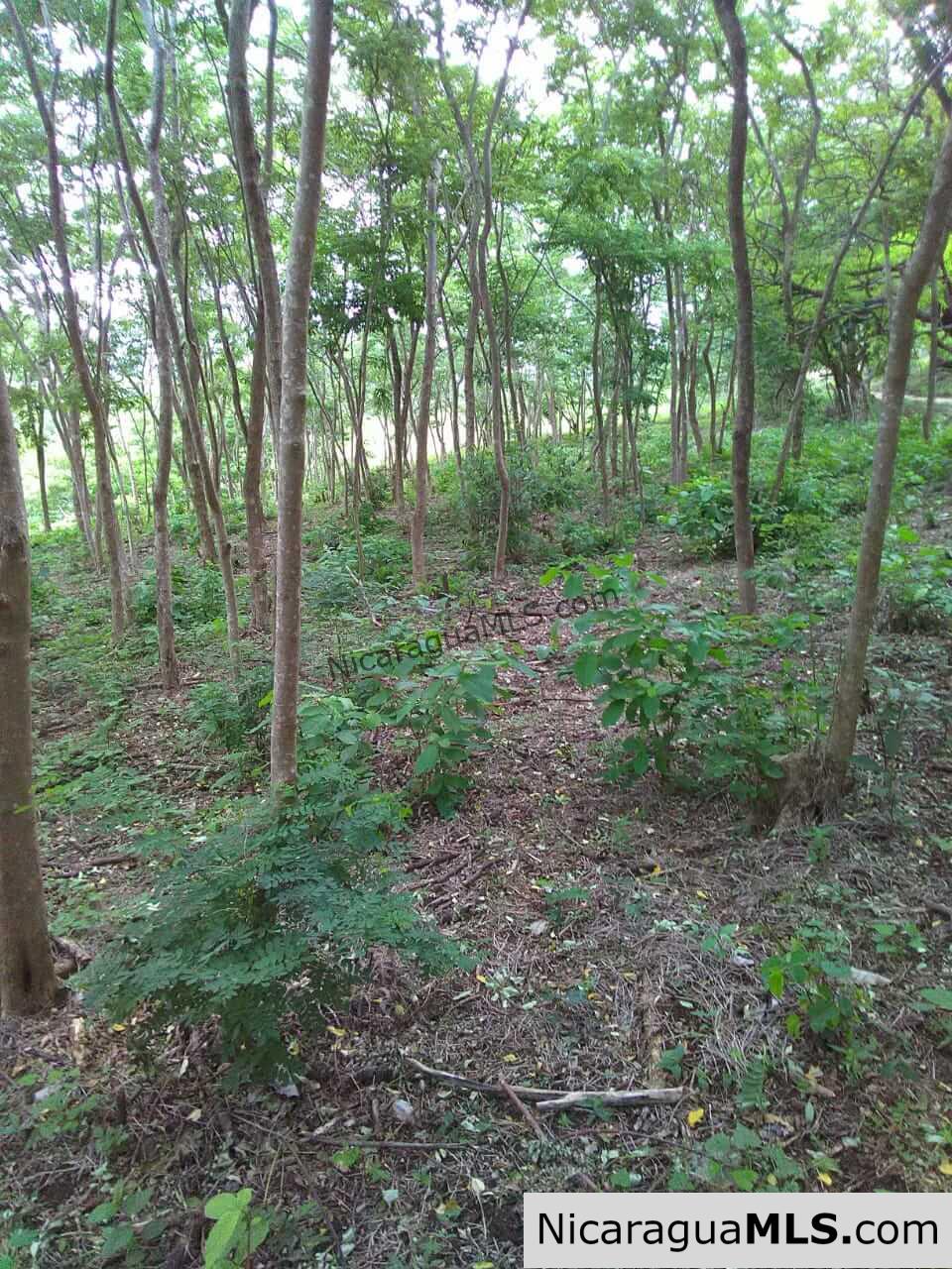 580 acres in el Valle, San Juan del Sur