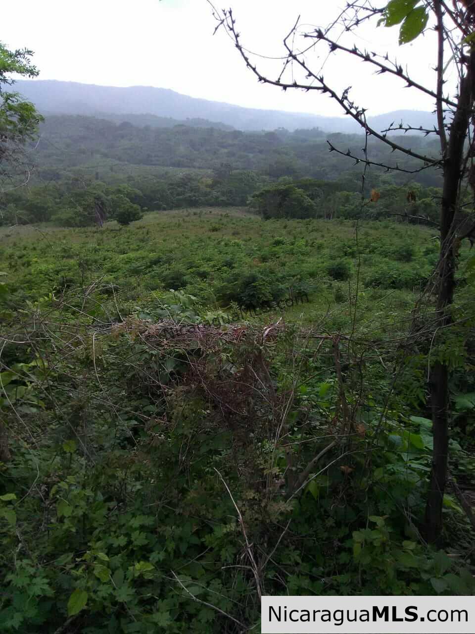 580 acres in el Valle, San Juan del Sur