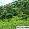 Off Grid Tranquil Paradise Only 20 Minutes North of San Juan del Sur