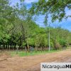 Beautiful Park Setting 4.5 Acres on Road to Maderas