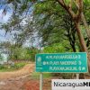 Beautiful Park Setting 4.5 Acres on Road to Maderas